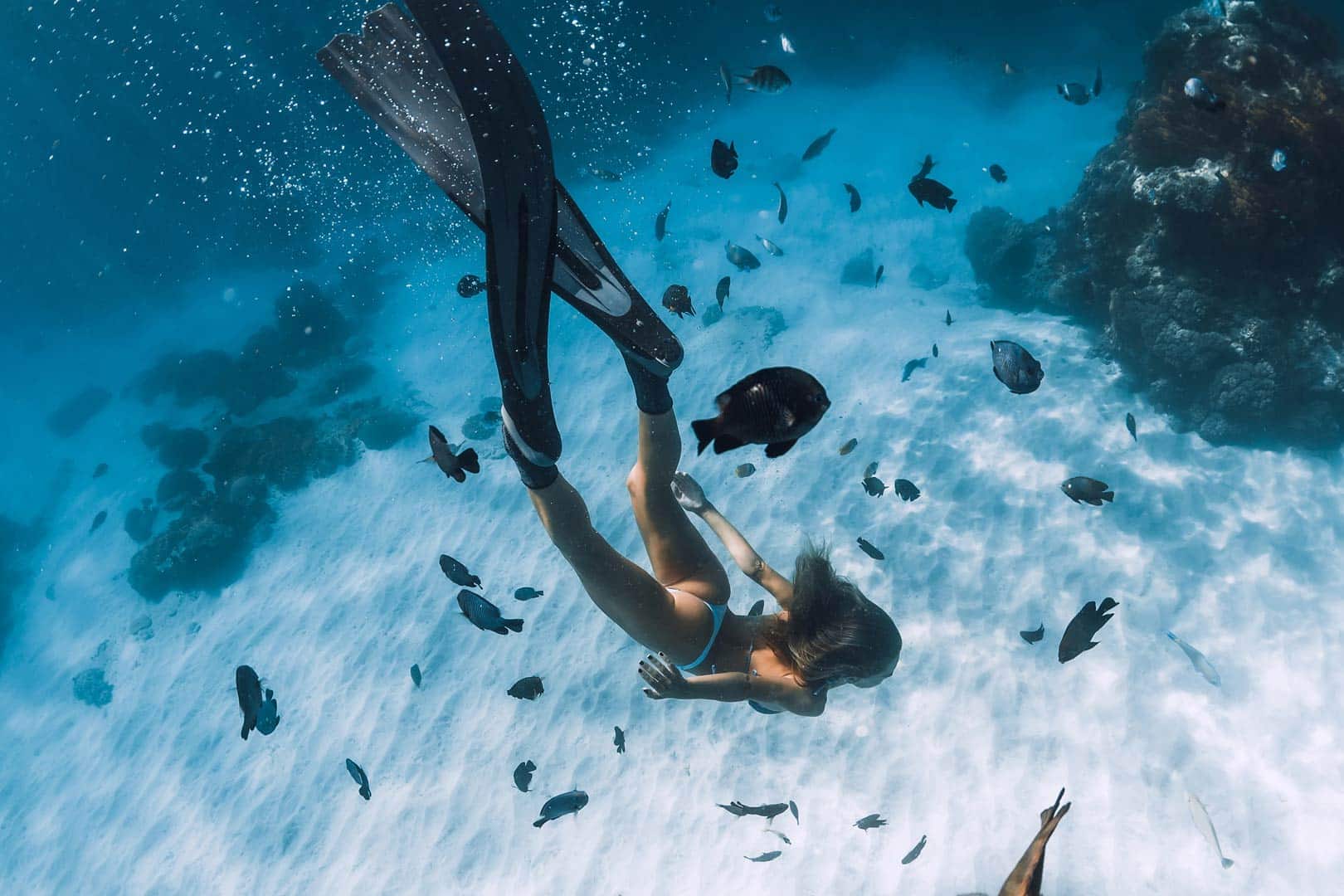 Apnoetauchen lernen und im Ocean mit Fischen tauchen.