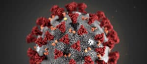 Apnoetauchen und der Corona Virus 2020