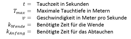 Tauchzeit: Wie lange dauert ein Tauchgang? - Apnoetauchen-lernen.de