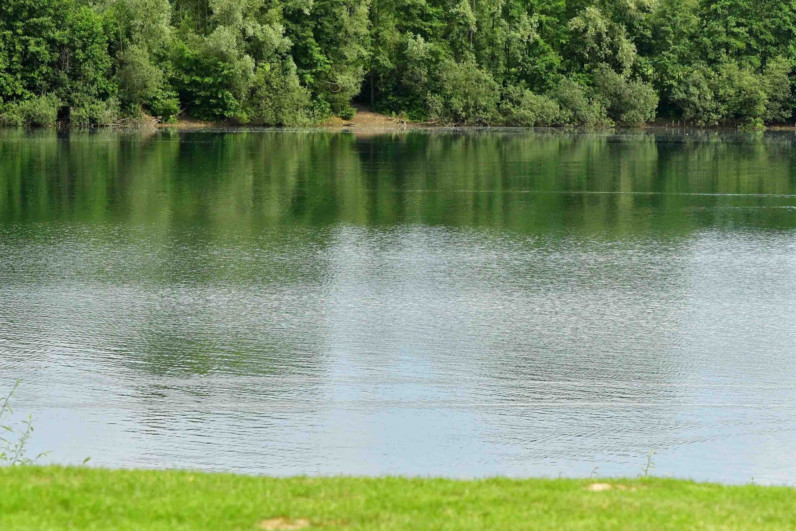 Grüner See in Rathingen - Apnoetauchen in Düsseldorf Köln