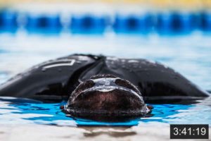 Upgrade: Apnoe Training