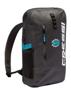 Fishbone Dry Backpack