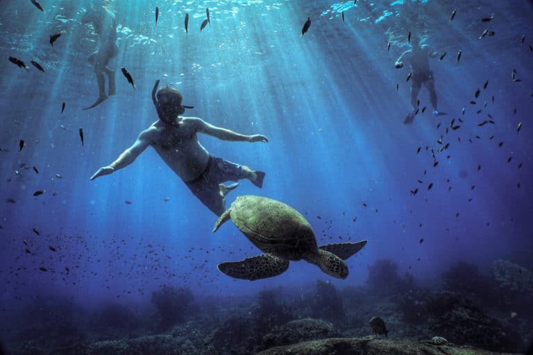 Apnoetauchen-mit-Schildkröte-im-Meer-Urlaub