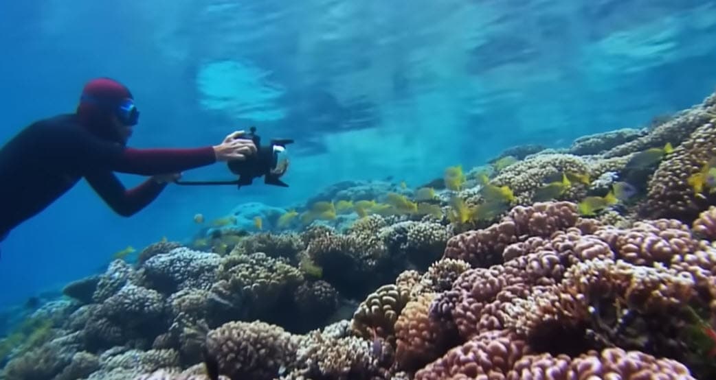 Dokumentation Im Reich der Tiefe Freediving in der Welt der Meere